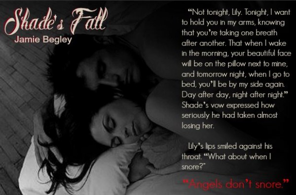 shades fall teaser 2