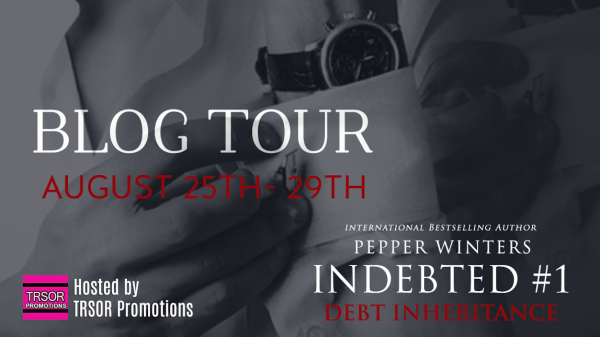 indebted tour banner