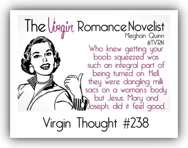 the virgin romance novelist teaser